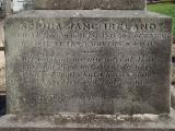 image of grave number 499856
